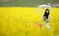 tiktok肯豆全没打码课骑马